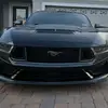 zl1girl79
