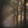hochyysilenthill