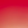 arroz44557_5