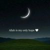 user1169040229706
