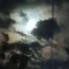_taimas._8