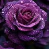 blessingsphiri719