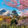 japan12327