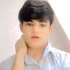 hesam1275