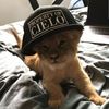 cloudhaloo