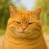 ai.demon_cat