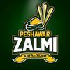 zalmiofficial24