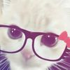 user2811970639956