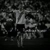felidief
