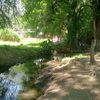 user9213085300668