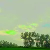 mim.jannat5185