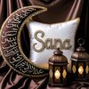 sanaaziz836