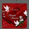 user7080261484432