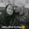 hamza.dogar410