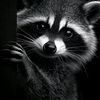 PixelPaws