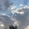 waleed.264