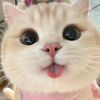 savannasoon0778