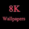 ●8KᴥɯȺʟʟƥȺƥêrƨ●