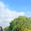 lienh8688