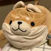 ayuko_9