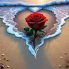 user77755142551811