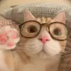 baolinhh_263