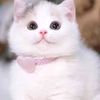 kimmy65916