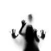 z_z2010.14