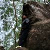 nurr_eaa