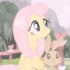 27zmk.raripie