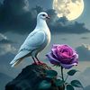 mohamed.omar1726