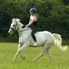 lou.equine13