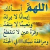 arifarif0306