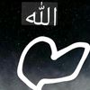 user1458546250202