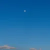xmr.rexzyx