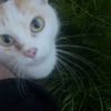 bebebebybyby0