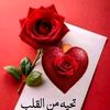 user5281978205493