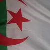 farida.saadoune6