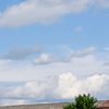 langel_88