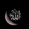 raja_brand_86