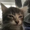 mraslanyoinky