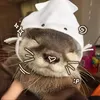 nguyetmih__