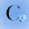 ch1ma.l