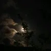 _nuhoangtruyennguoc2