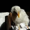 la.gallina.facherita