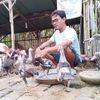 rofiq7054