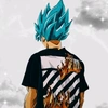 goku.gold8