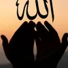 user6545042380010