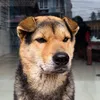 xuancamm