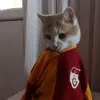 es_ma92